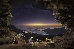 Muybridge Horse Muybridge Horse